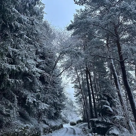 La Boheme Alpstuga La Chaulme